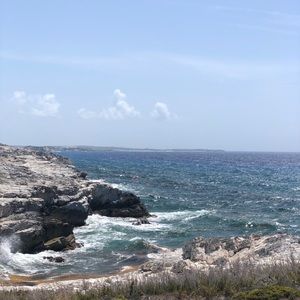 Meet your Posher, Wesley